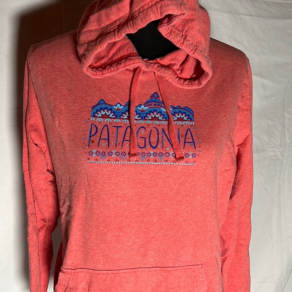 Patagonia Tops - Patagonia Distressed Hoodie, Worn Wear, Women's size L